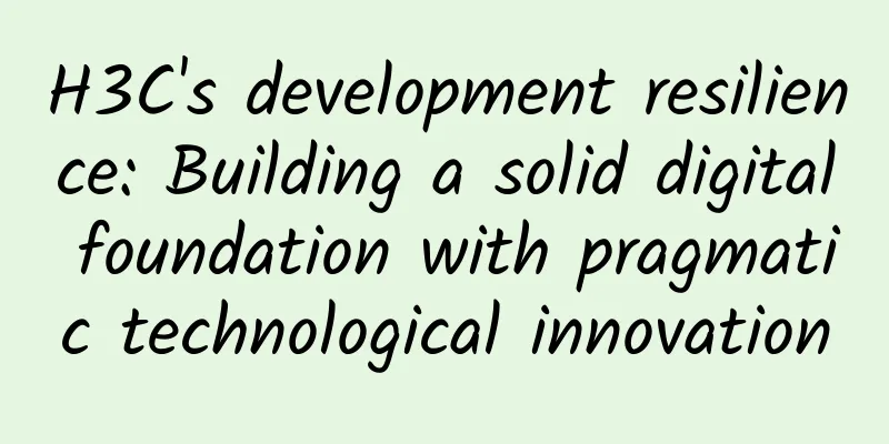 H3C's development resilience: Building a solid digital foundation with pragmatic technological innovation
