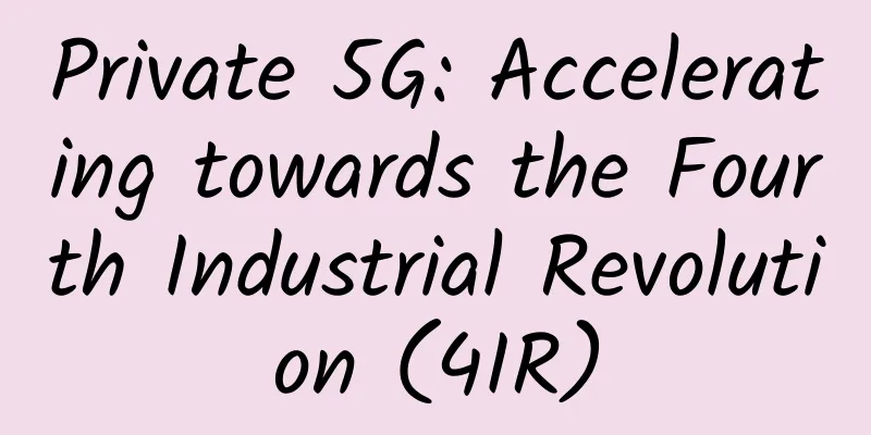 Private 5G: Accelerating towards the Fourth Industrial Revolution (4IR)