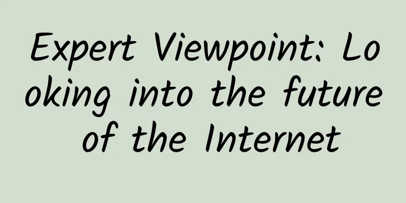 Expert Viewpoint: Looking into the future of the Internet