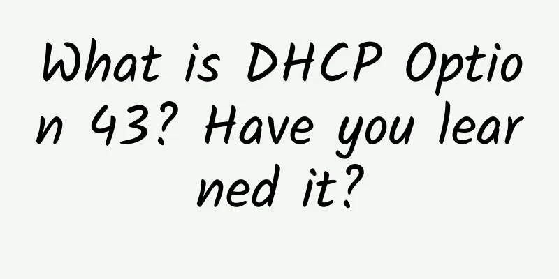 What is DHCP Option 43? Have you learned it?