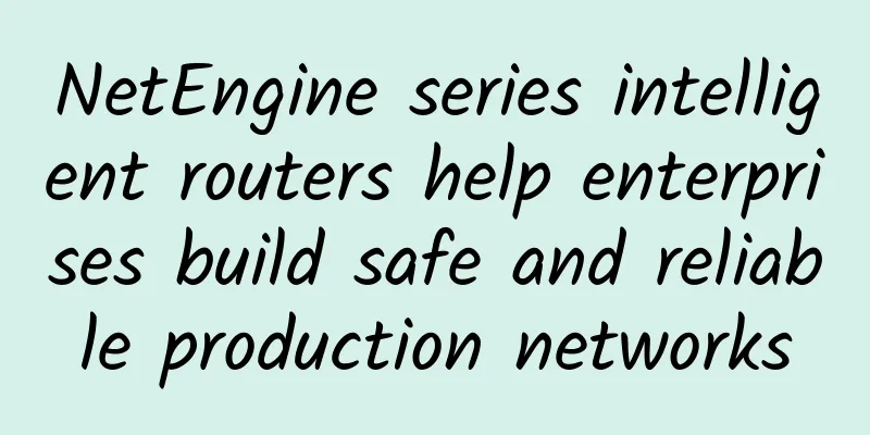 NetEngine series intelligent routers help enterprises build safe and reliable production networks