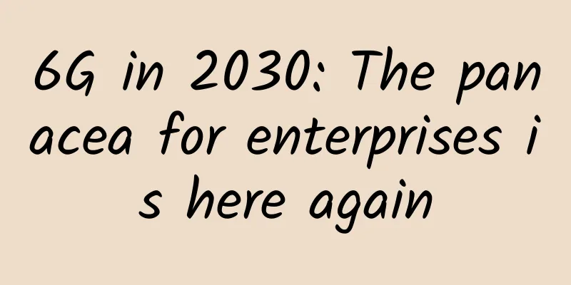 6G in 2030: The panacea for enterprises is here again