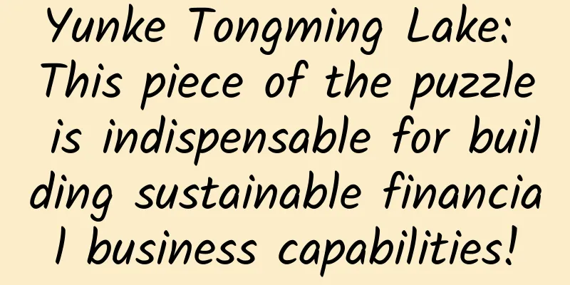 Yunke Tongming Lake: This piece of the puzzle is indispensable for building sustainable financial business capabilities!