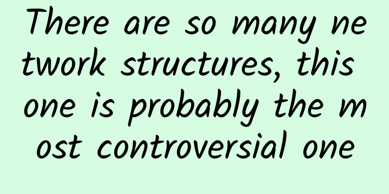 There are so many network structures, this one is probably the most controversial one