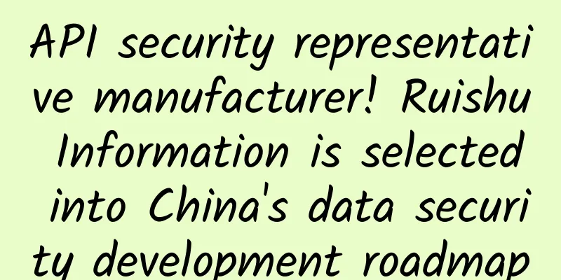 API security representative manufacturer! Ruishu Information is selected into China's data security development roadmap