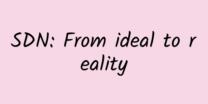 SDN: From ideal to reality