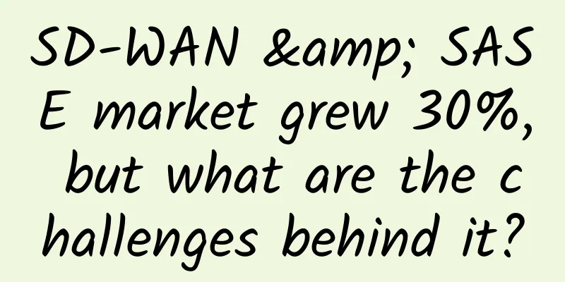 SD-WAN & SASE market grew 30%, but what are the challenges behind it?