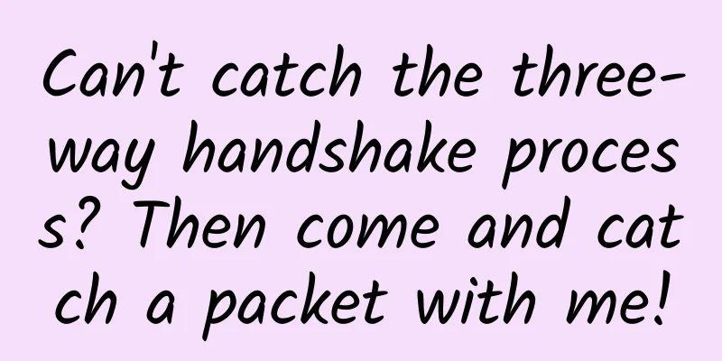 Can't catch the three-way handshake process? Then come and catch a packet with me!