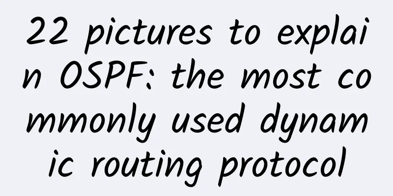 22 pictures to explain OSPF: the most commonly used dynamic routing protocol