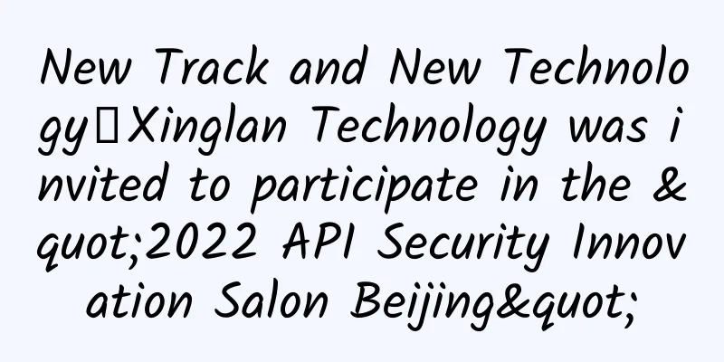 New Track and New Technology｜Xinglan Technology was invited to participate in the "2022 API Security Innovation Salon Beijing"