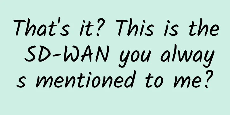 That's it? This is the SD-WAN you always mentioned to me?