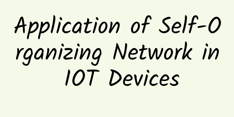 Application of Self-Organizing Network in IOT Devices