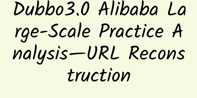 Dubbo3.0 Alibaba Large-Scale Practice Analysis—URL Reconstruction