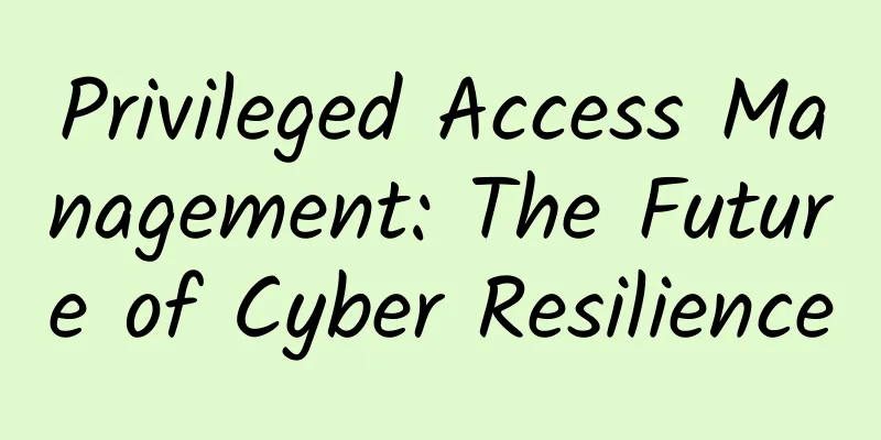 Privileged Access Management: The Future of Cyber ​​Resilience