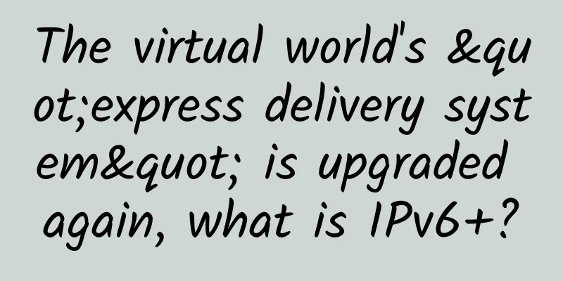 The virtual world's "express delivery system" is upgraded again, what is IPv6+?