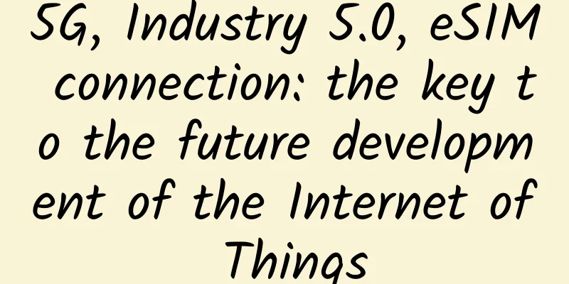 5G, Industry 5.0, eSIM connection: the key to the future development of the Internet of Things