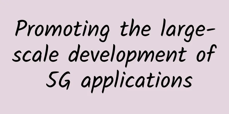 Promoting the large-scale development of 5G applications
