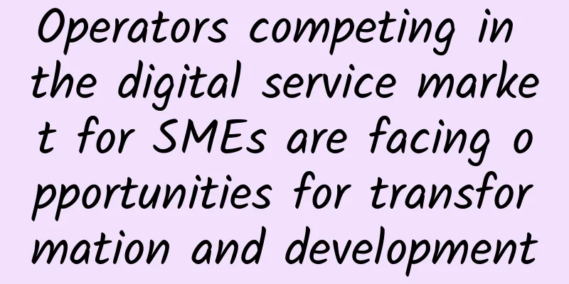 Operators competing in the digital service market for SMEs are facing opportunities for transformation and development