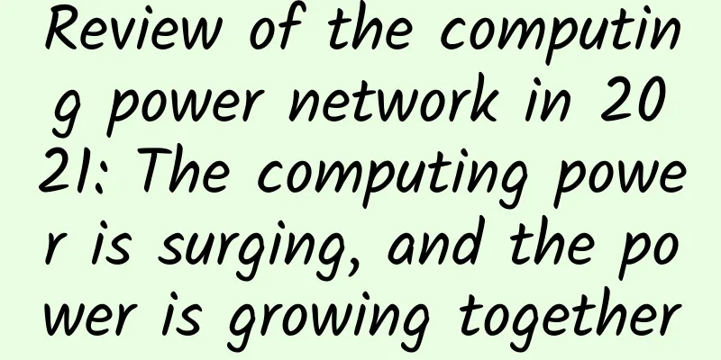 Review of the computing power network in 2021: The computing power is surging, and the power is growing together