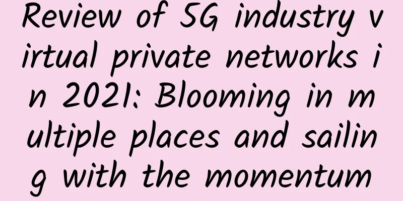 Review of 5G industry virtual private networks in 2021: Blooming in multiple places and sailing with the momentum
