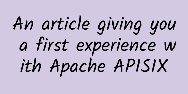 An article giving you a first experience with Apache APISIX