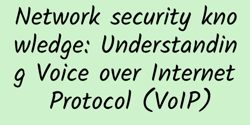 Network security knowledge: Understanding Voice over Internet Protocol (VoIP)
