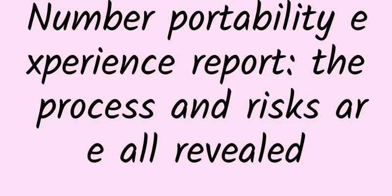 Number portability experience report: the process and risks are all revealed