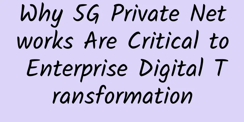 Why 5G Private Networks Are Critical to Enterprise Digital Transformation