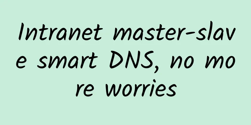Intranet master-slave smart DNS, no more worries