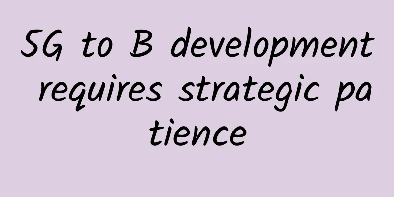 5G to B development requires strategic patience