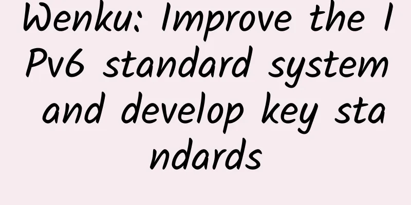 Wenku: Improve the IPv6 standard system and develop key standards