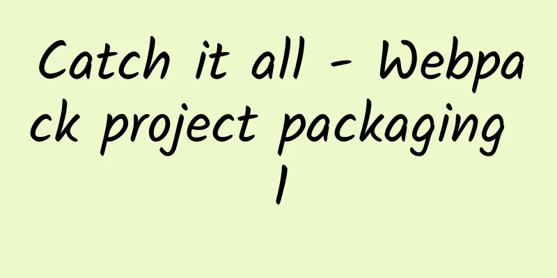 Catch it all - Webpack project packaging 1