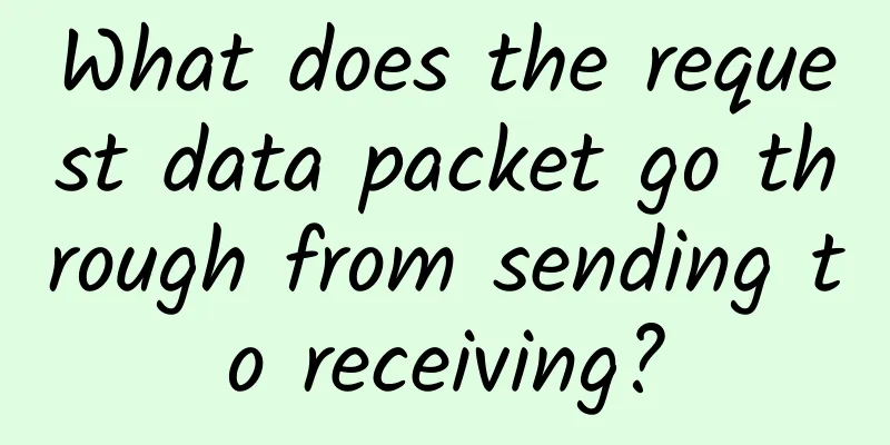 What does the request data packet go through from sending to receiving?