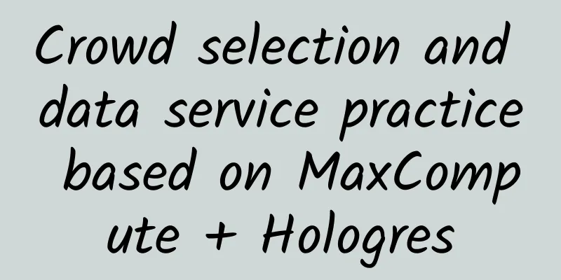 Crowd selection and data service practice based on MaxCompute + Hologres