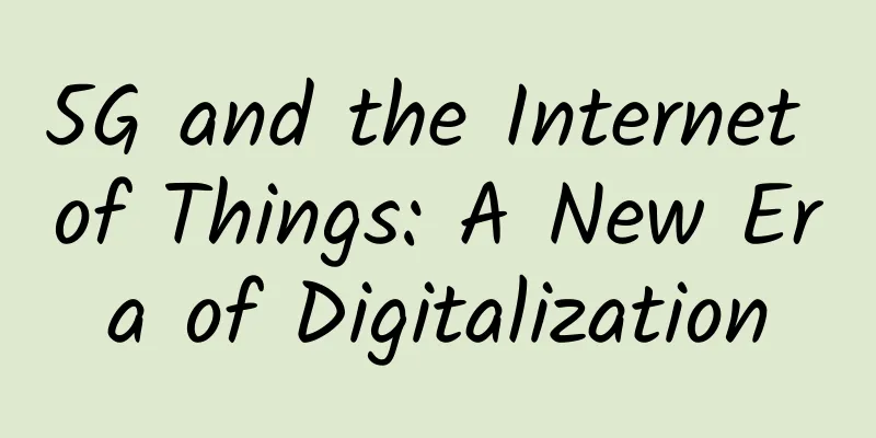 5G and the Internet of Things: A New Era of Digitalization