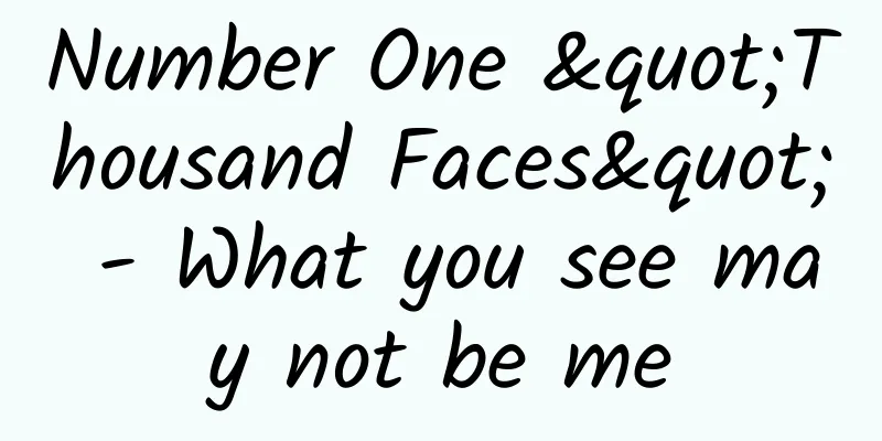 Number One "Thousand Faces" - What you see may not be me