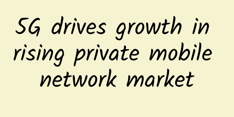 5G drives growth in rising private mobile network market