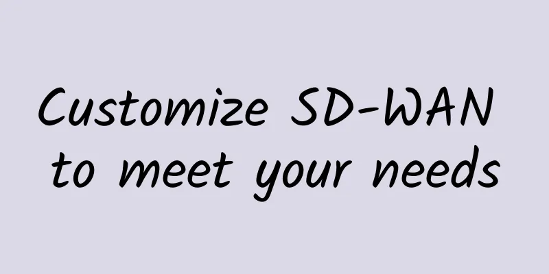 Customize SD-WAN to meet your needs