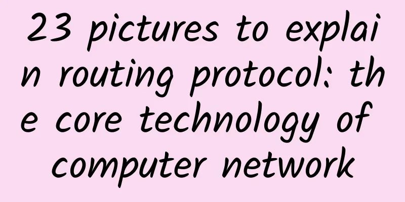 23 pictures to explain routing protocol: the core technology of computer network