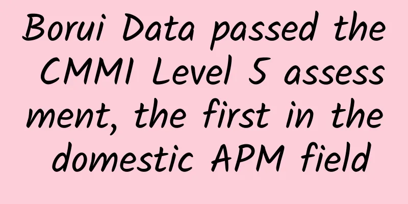 Borui Data passed the CMMI Level 5 assessment, the first in the domestic APM field