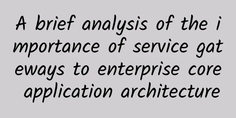 A brief analysis of the importance of service gateways to enterprise core application architecture