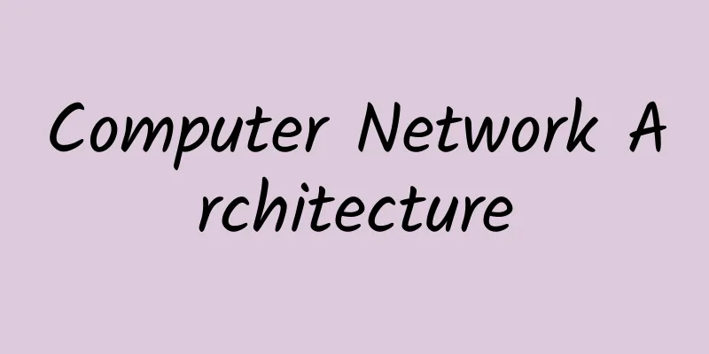 Computer Network Architecture