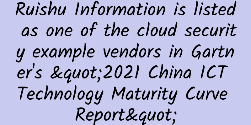 Ruishu Information is listed as one of the cloud security example vendors in Gartner's "2021 China ICT Technology Maturity Curve Report"