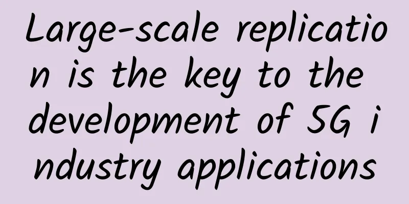 Large-scale replication is the key to the development of 5G industry applications