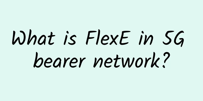 What is FlexE in 5G bearer network?