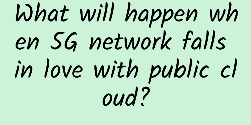 What will happen when 5G network falls in love with public cloud?