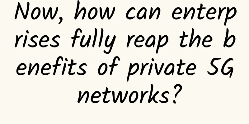 Now, how can enterprises fully reap the benefits of private 5G networks?