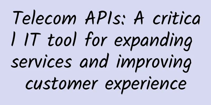 Telecom APIs: A critical IT tool for expanding services and improving customer experience