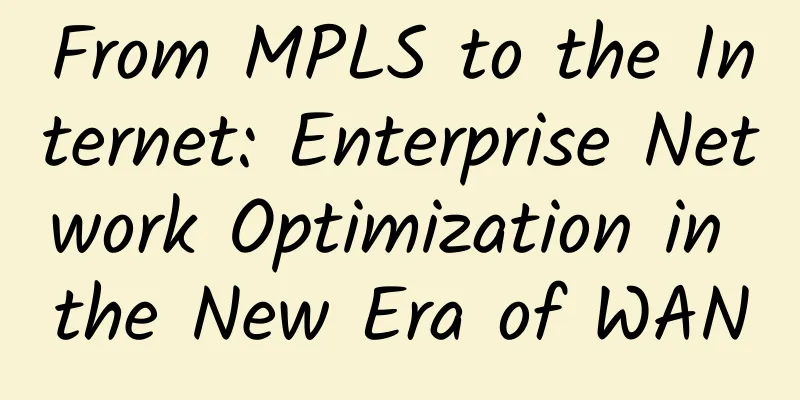 From MPLS to the Internet: Enterprise Network Optimization in the New Era of WAN