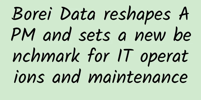 Borei Data reshapes APM and sets a new benchmark for IT operations and maintenance